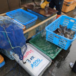 Thumbnail of new posts 082