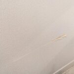 Thumbnail of post image 134